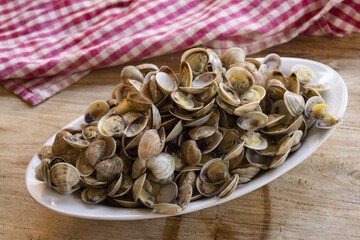 small clams or telline