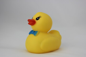 yellow rubber duck