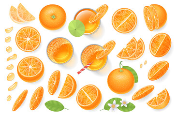 Vector set. Fresh orange and orange juice. Top view. Orange sliced in various pieces, juice in glasses, leaves, flowers, grains, drops. View from above.