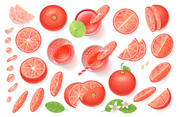 Vector set. Fresh grapefruit and grapefruit juice. Top view. Grapefruit sliced in various pieces, juice in glasses, leaves, flowers, grains, drops. View from above.