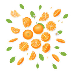 Vector illustration. Composition of slices of orange. Top view.