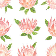 Watercolor protea flowers with leaves seamless pattern