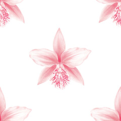 Orchid watercolor seamless pattern flower	