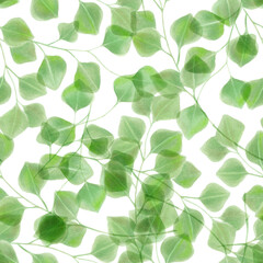 Fototapeta na wymiar Watercolor eucalyptus branches seamless pattern