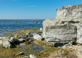summer landscape with limestone cliffs, Undva Cape, Tagamoisa Peninsula, Saaremaa Island, Estonia