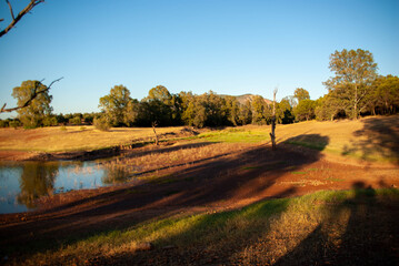 swamp at sunset