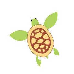 Illustration of colorful turtle with green flippers and shell. Vector illustration. Isolated on white background. Exotic water animals. For design, web, graphic. 