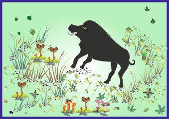 A black pig standing in the forest
