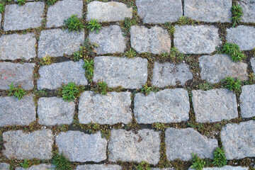 gray paving slabs overgrown with green grass.
