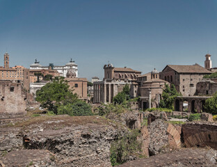 Naklejka premium Rome Italy, panoramic view of the roman forum on a sunny day