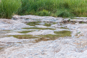 Road to the Ongongo camping site