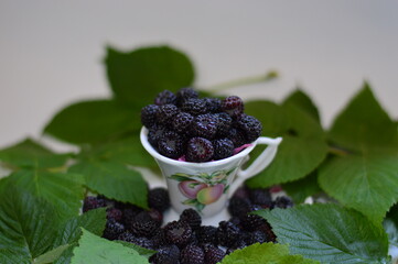 blackberries in a bowl