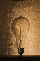 Light bulb