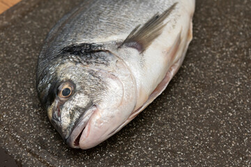 Sea Dorado Fish on cutting board. Ready to cook raw bream fish