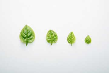 Leaves in descending order