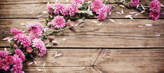 Fototapeta na wymiar pink chrysanthemums on dark wooden background