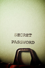 Secret password concept