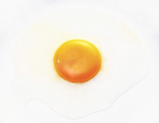 Egg yolk