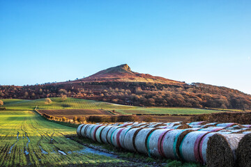 Roseberry Topping, North York Moors