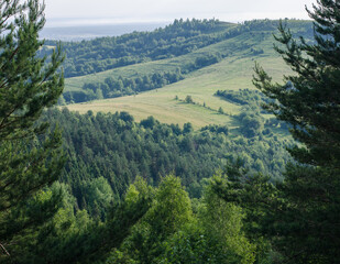 Beautiful mountain landscape many trees © Vitaliy