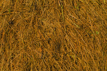 texture of a pile of hay after haymaking in a field