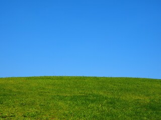 horizontal line between sky and grass ground