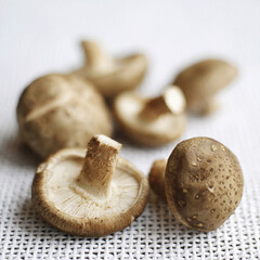 Close up of some shitake mushrooms