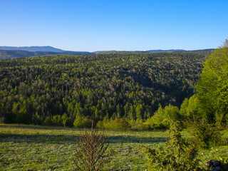 Fototapeta premium autumn landscape with trees and mountains