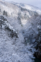 Fototapeta na wymiar 厳冬の風景　手取峡谷