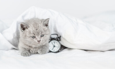 Fototapeta na wymiar Funny kitten lies under white blanket on a bed at home with alarm clock. Empty space for text