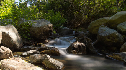 Naklejka na ściany i meble stream in the forest in Corsica