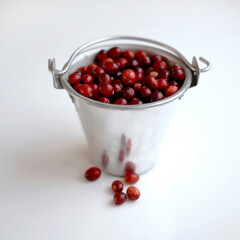 Red berries stored in an aluminium bucket