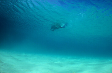 undewater scuba diver caribbean sea 