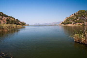 Obraz premium ducks in the lake between the mountains