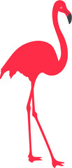 pink flamingo vector illustration