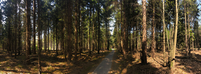 Panorama from the forest around Diffelen
