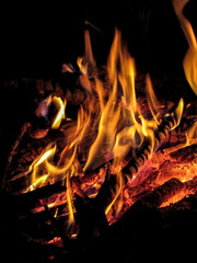 bonfire on Ivan Kupala.  bonfire with branches at night in the forest. tongues of fire. flames of fire. night fire                          