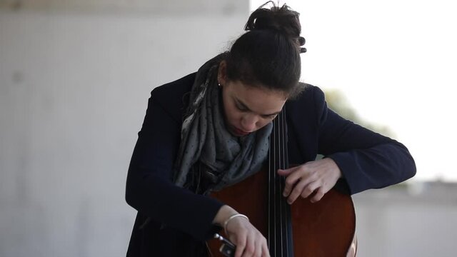 Concierto de violonchelo al aire libre