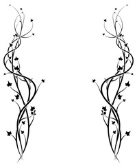 winding plant stretching up on a white background