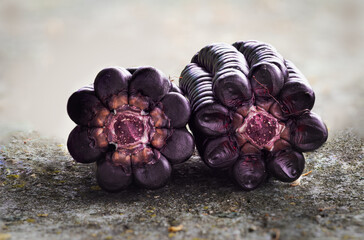 details of a peruvian purple corn, zea mays l, a product with high nutritional value