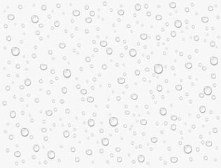 Water rain drops or steam shower texture isolated on white background. Vector pure droplets on window glass surface pattern
