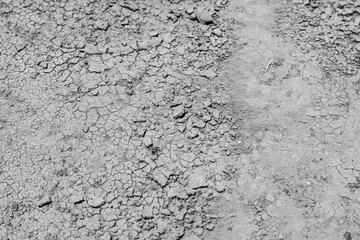 Cracked earth, cracked soil. texture of grungy dry cracking parched earth. Global worming effect.