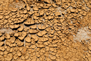 Fototapeta premium cracked clay ground into the dry season
