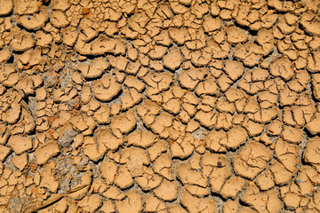 Dry land. Cracked ground background.