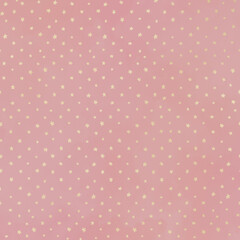 Seamless Champagne Gold Pattern on Vintage Rose Background