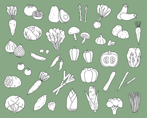 手書きの野菜のイラストのセット シンプル おしゃれ 線画 Wall Mural Yugoro