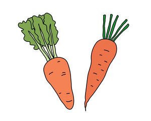 ニンジンの手書きのイラスト／シンプル／野菜