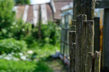 A fence of old darkened sticks close up, leading to a village garden, amid a greenhouse and roof of a barn.