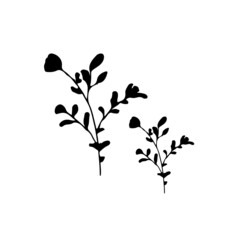 silhouette of a tree