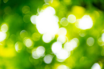 Obraz premium 緑の背景